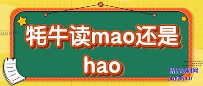 ţmao(hai)hao